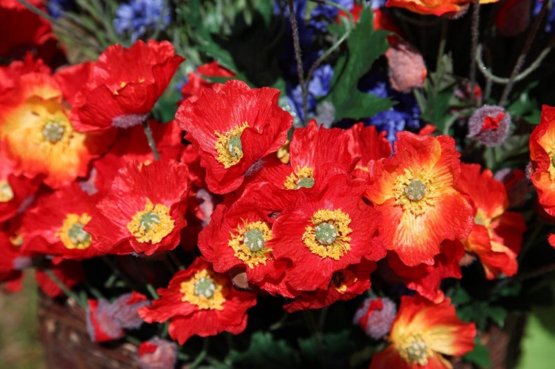 LenteFair bloemen