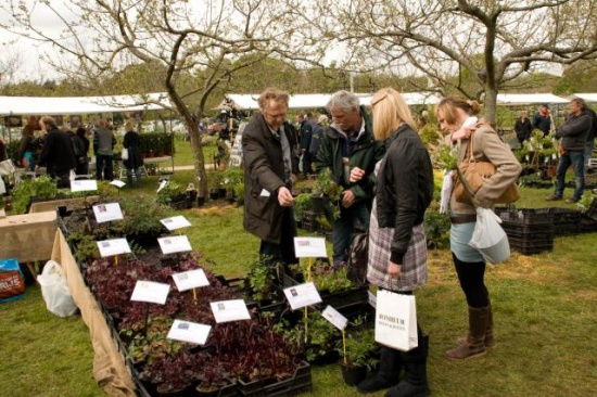 DvhN Lentefair 2011