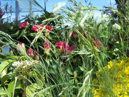 DvhN Lentefair 2011